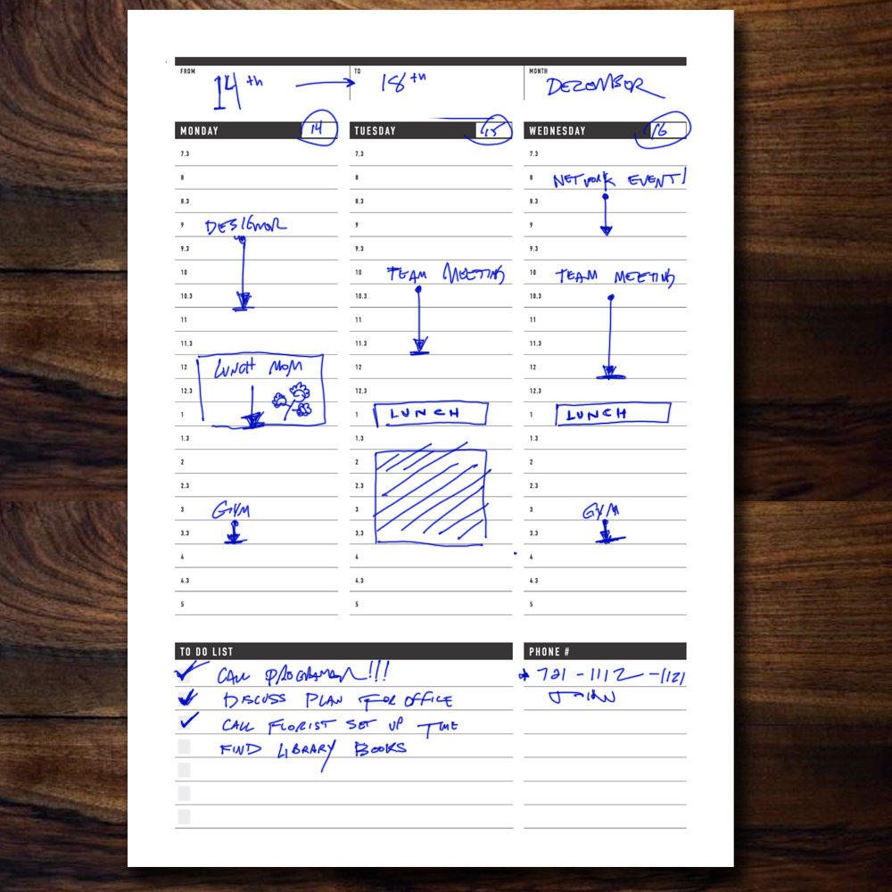 Printable Weekly Planner, Daily Agenda Plan, Printable Weekly To Do list