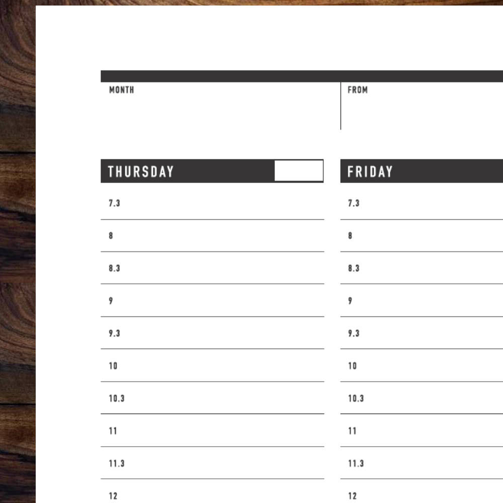 Printable Weekly Planner, Daily Agenda Plan, Printable Weekly To Do list