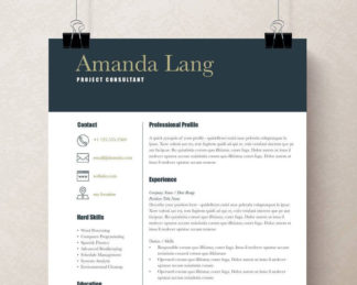 Professional Resume Template