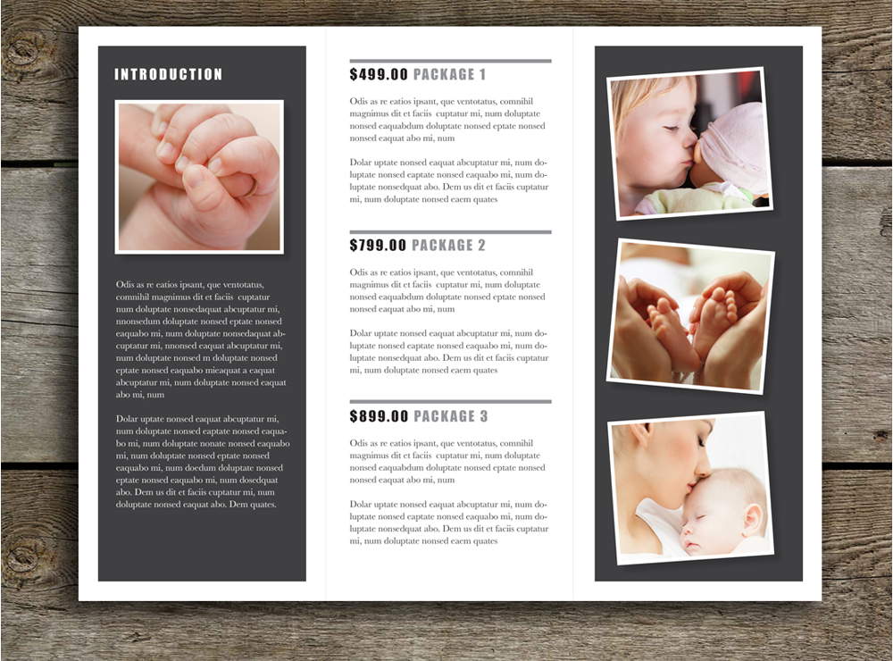 Printable Promotional Brochure Design - Image 3