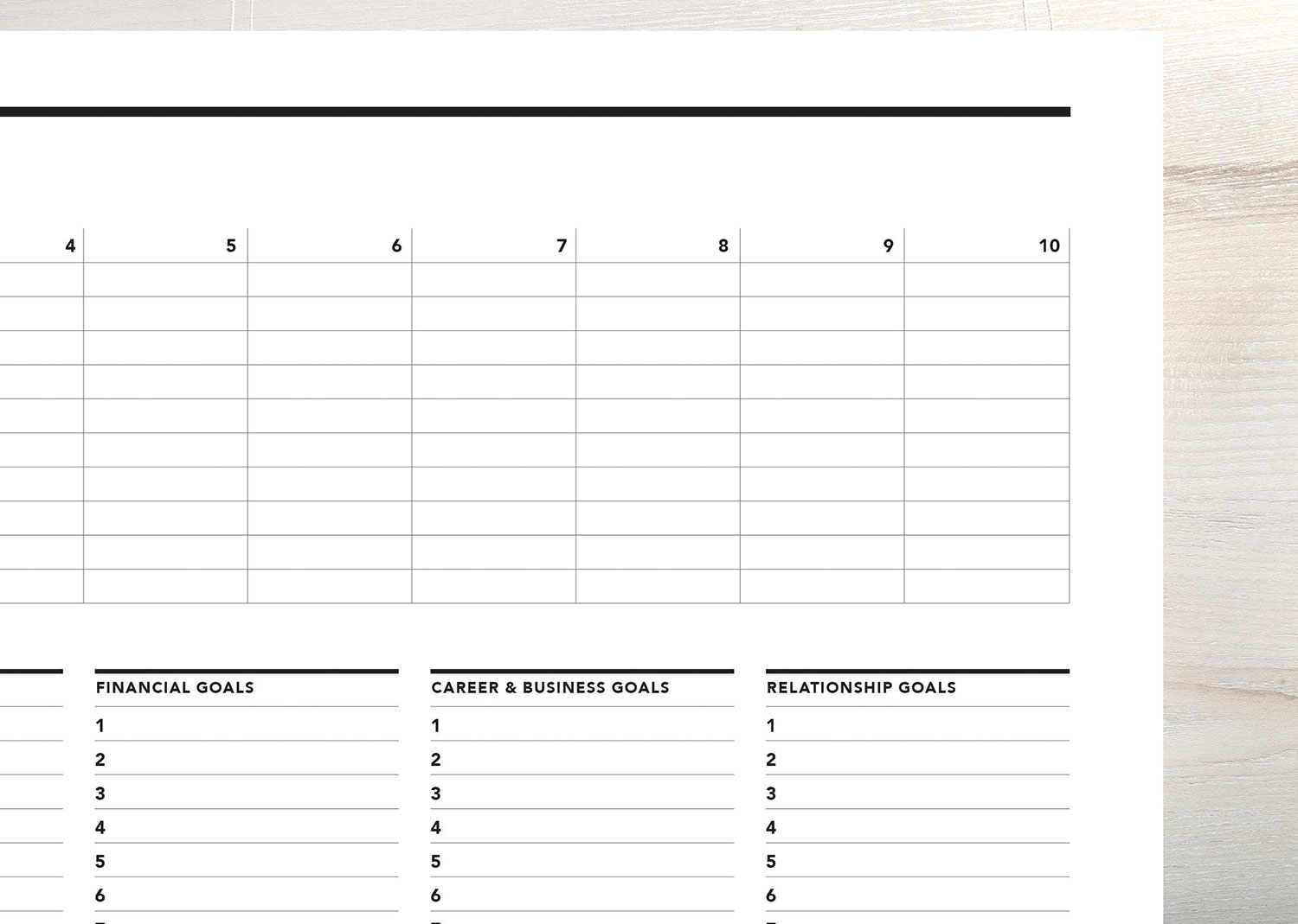 Level 10 Life Planner